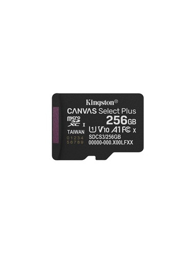 KINGSTON 256GB micSDXC Canvas Select