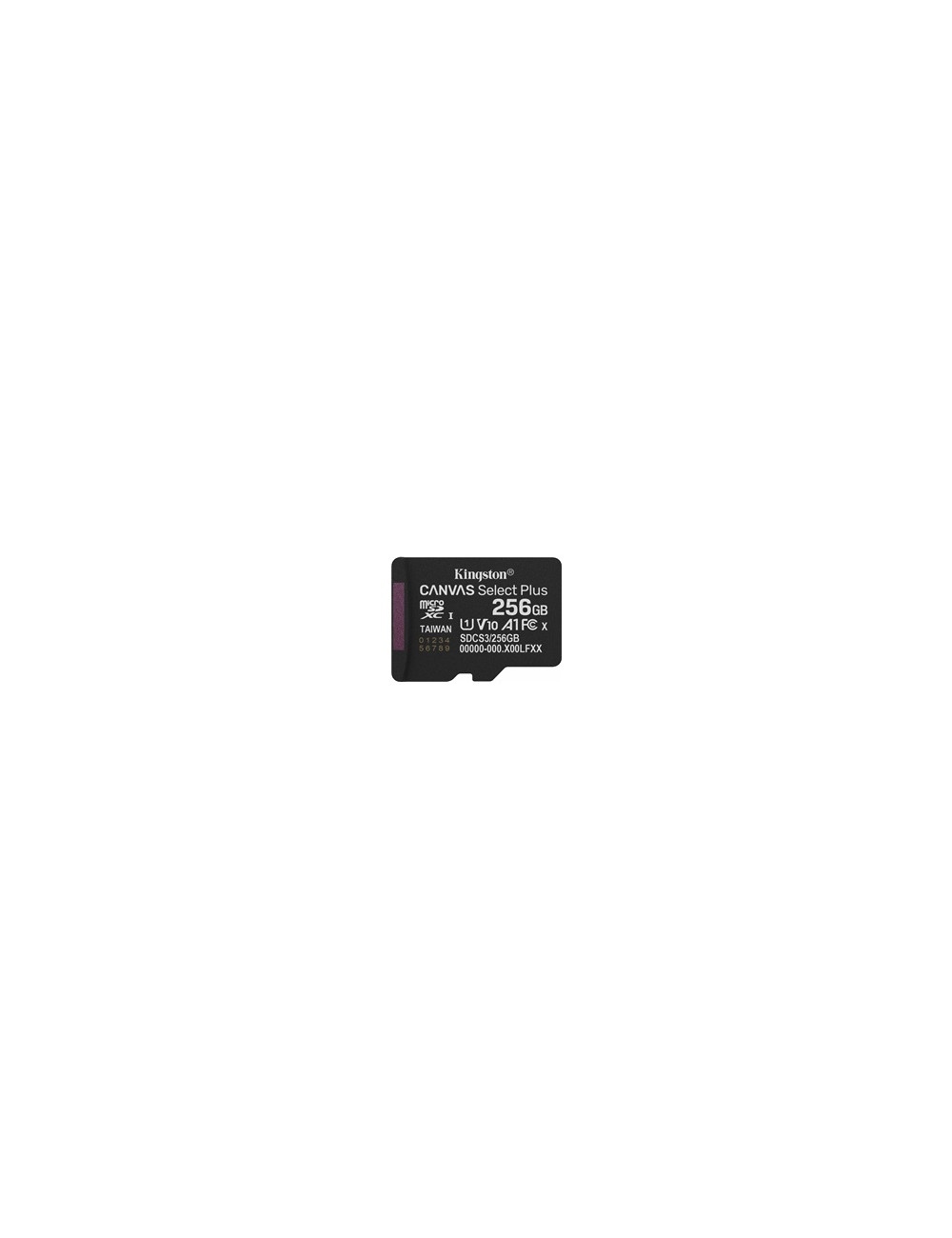 KINGSTON 256GB micSDXC Canvas Select