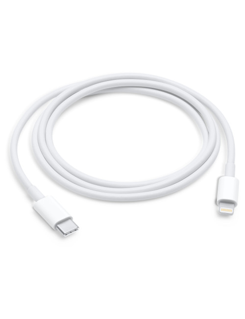 Apple USB-C to Lightning Cable (1m) | Apple