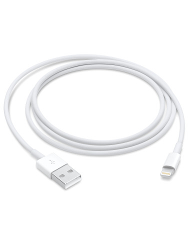 Apple Lightning to USB Cable (1m) | Apple