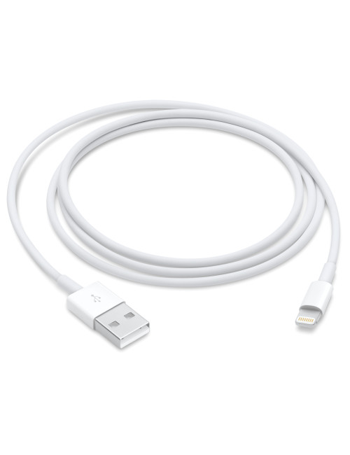 Apple Lightning to USB Cable (1m) | Apple