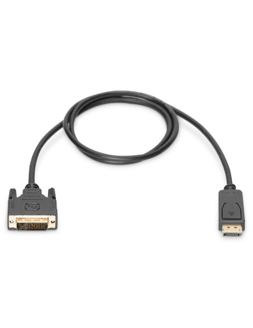 Digitus Adapter Cable, DP - DVI | DisplayPort | 2 m