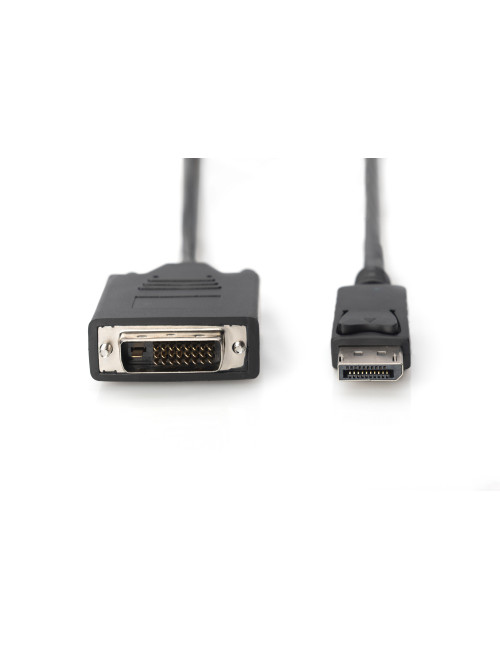 Digitus Adapter Cable, DP - DVI | DisplayPort | 2 m