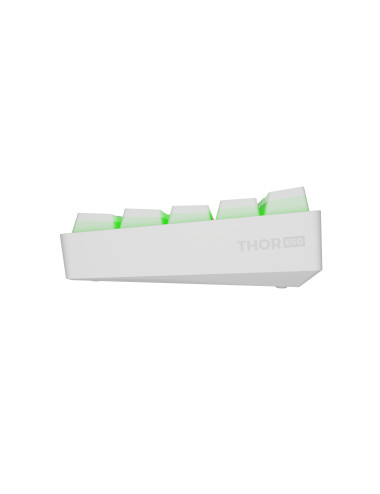 Genesis | THOR 660 G2 | Gaming keyboard | Wireless/Wired | US | White | 2.4 GHz, Bluetooth, USB | Tactile