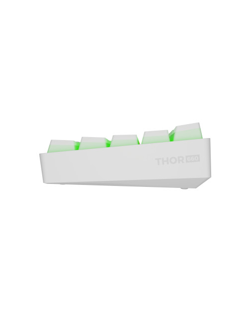 Genesis | THOR 660 G2 | Gaming keyboard | Wireless/Wired | US | White | 2.4 GHz, Bluetooth, USB | Tactile