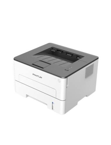 Pantum P3020D laser printer A4