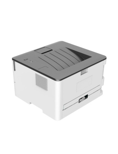 Pantum P3020D laser printer A4