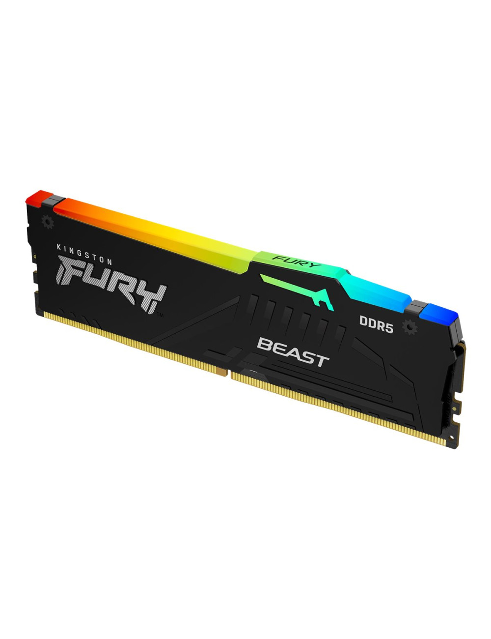 Kingston | FURY Beast RGB EXPO | 16 GB | DDR5 | 5600 MHz | PC/server | Registered No | ECC No