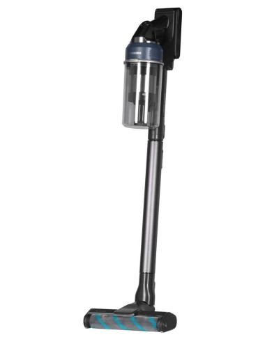 Samsung Jet 95 upright...