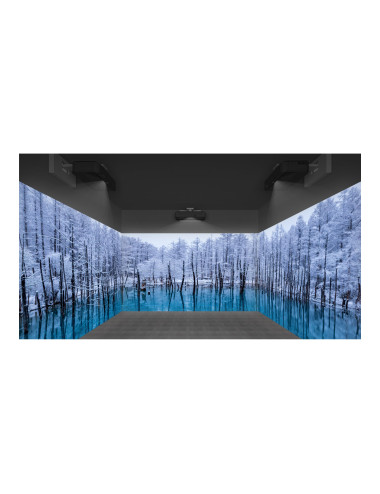 Epson | EB-815E | Full HD (1920x1080) | 5000 ANSI lumens | Black