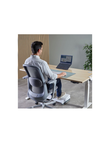 Fellowes Alumia Portable Laptop Stand - Black | Fellowes