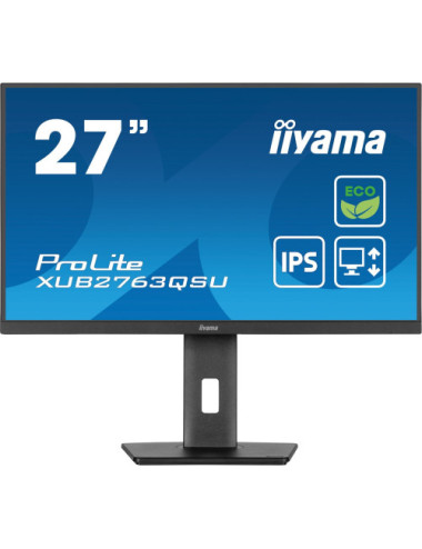 iiyama ProLite...