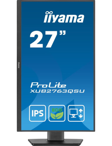iiyama ProLite...