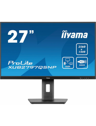 iiyama ProLite...