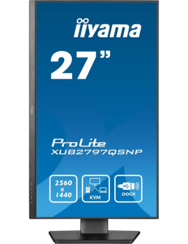 iiyama ProLite...