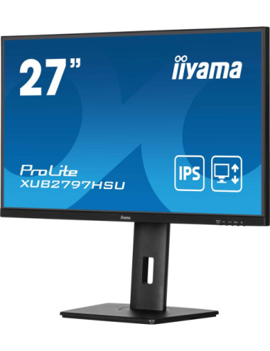 iiyama ProLite...