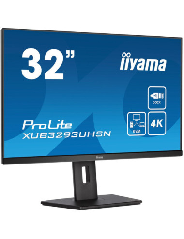iiyama ProLite...