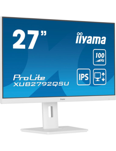 iiyama ProLite...