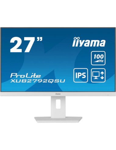 iiyama ProLite...