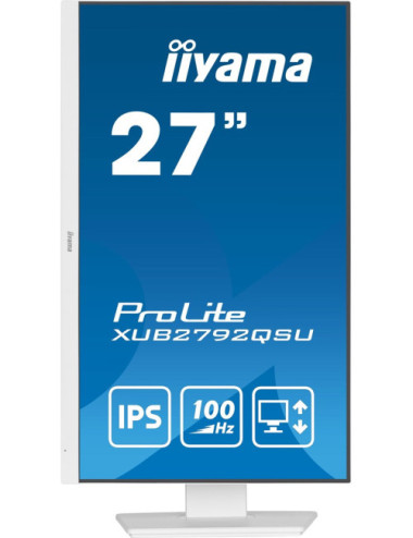 iiyama ProLite...
