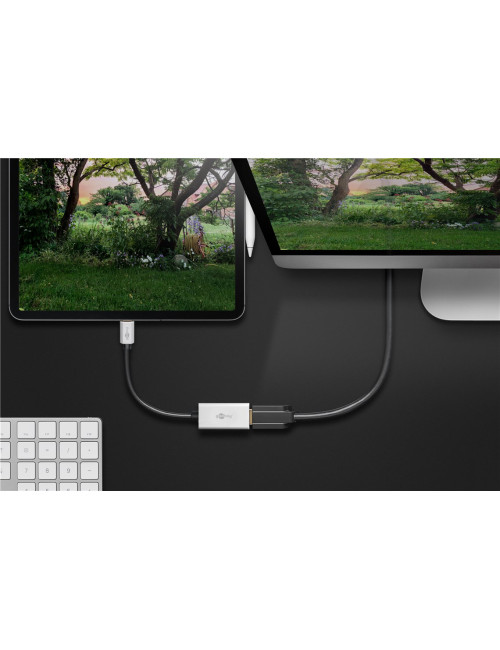 Goobay USB-C Adapter to HDMI | 60194