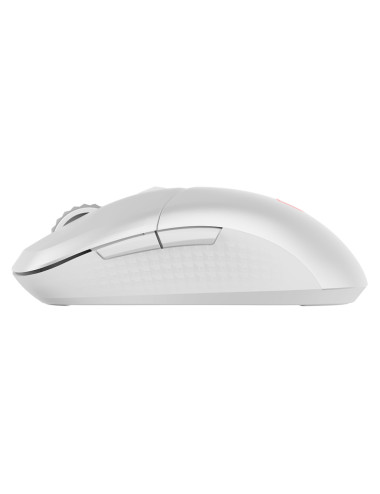 MSI VERSA 300 WIRELESS WHITE | Wireless | 2.4 GHz, Bluetooth, USB 2.0