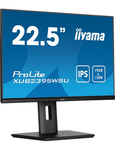 iiyama ProLite...
