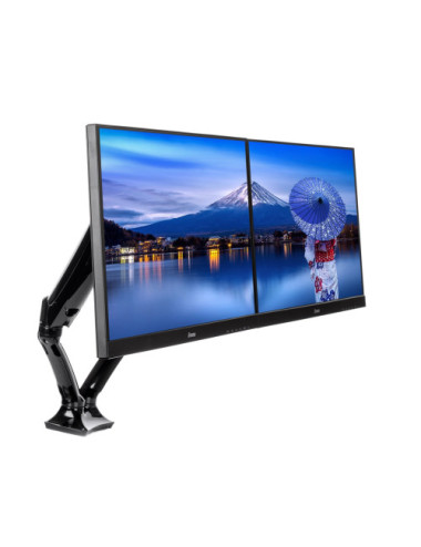 iiyama DS3002C-B1 monitor...