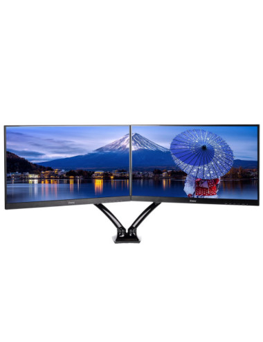 iiyama DS3002C-B1 monitor...