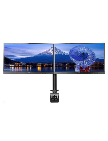 iiyama DS1002C-B1 monitor...