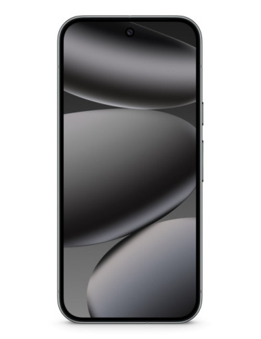 Google Pixel 10 Pro XL 17.3...