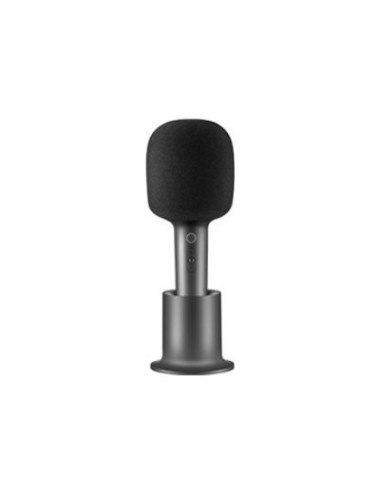 Xiaomi BHR6752GL microphone...