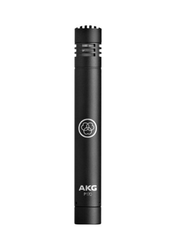 AKG P170 - instrumental...