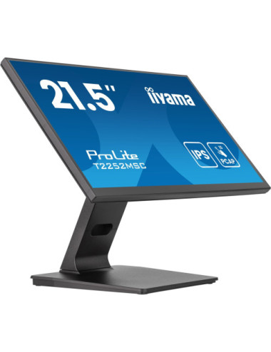 iiyama ProLite...