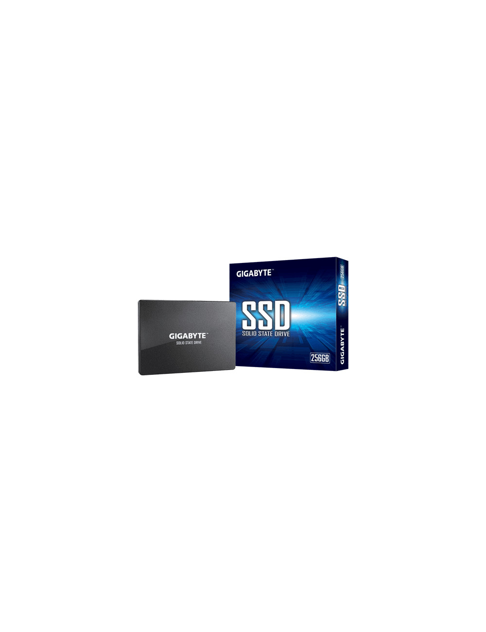 Gigabyte | GP-GSTFS31256GTND | 256 GB | Solid-state drive interface SATA | Read speed 520 MB/s | Write speed 500 MB/s