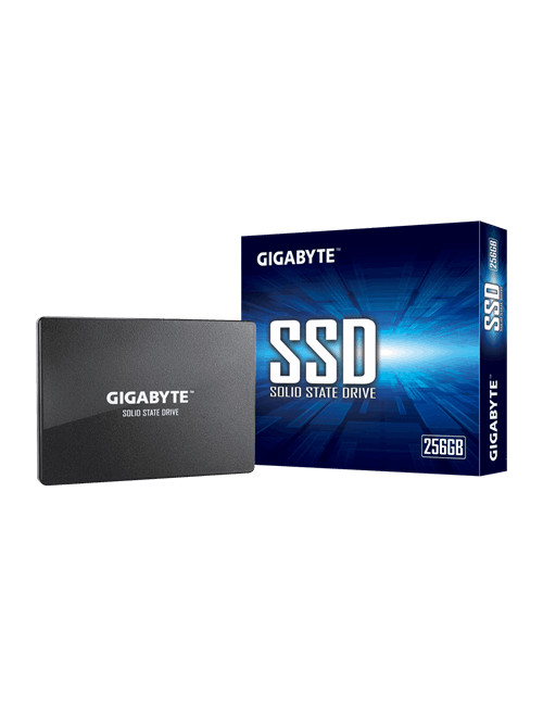 Gigabyte | GP-GSTFS31256GTND | 256 GB | Solid-state drive interface SATA | Read speed 520 MB/s | Write speed 500 MB/s