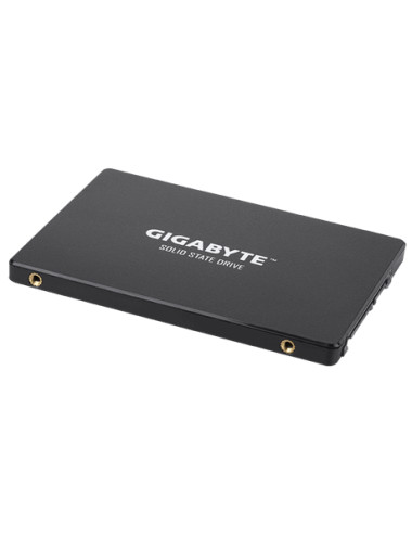 Gigabyte | GP-GSTFS31256GTND | 256 GB | Solid-state drive interface SATA | Read speed 520 MB/s | Write speed 500 MB/s