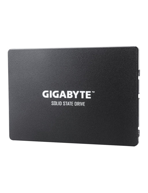 Gigabyte | GP-GSTFS31256GTND | 256 GB | Solid-state drive interface SATA | Read speed 520 MB/s | Write speed 500 MB/s