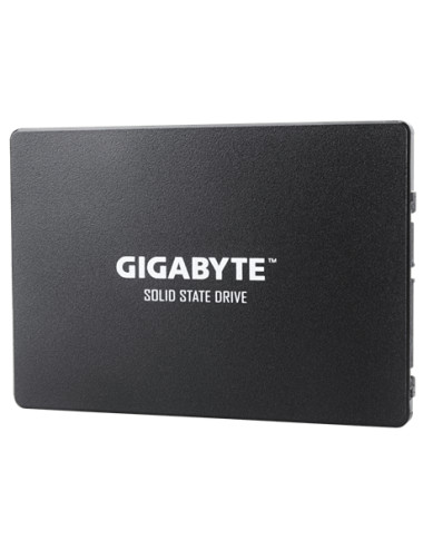 Gigabyte | GP-GSTFS31256GTND | 256 GB | Solid-state drive interface SATA | Read speed 520 MB/s | Write speed 500 MB/s