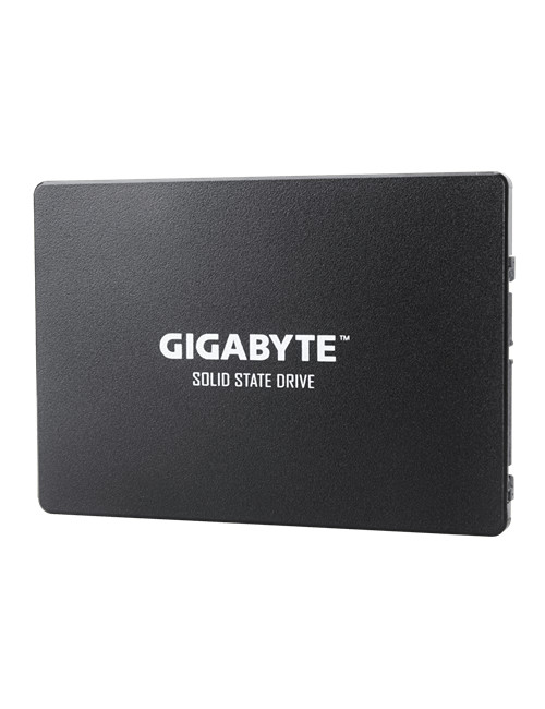 Gigabyte | GP-GSTFS31256GTND | 256 GB | Solid-state drive interface SATA | Read speed 520 MB/s | Write speed 500 MB/s