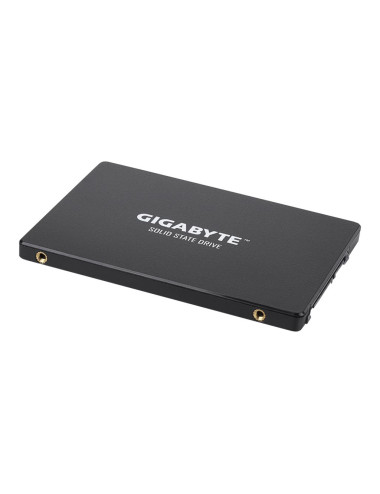Gigabyte | GP-GSTFS31256GTND | 256 GB | Solid-state drive interface SATA | Read speed 520 MB/s | Write speed 500 MB/s