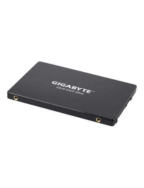Gigabyte | GP-GSTFS31256GTND | 256 GB | Solid-state drive interface SATA | Read speed 520 MB/s | Write speed 500 MB/s