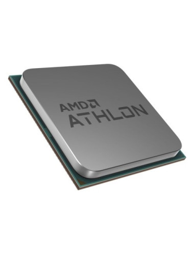AMD Athlon 3000G processor...