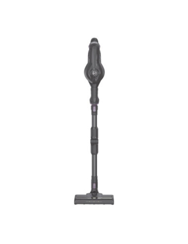 Hoover HF1 HF103X 011 Stick...