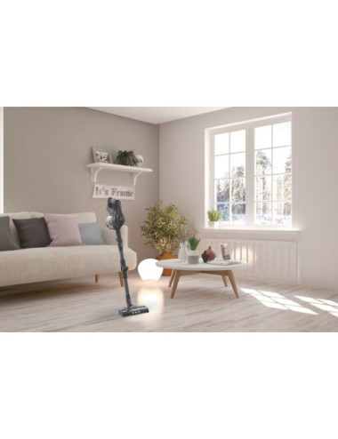 Hoover HF1 HF103X 011 Stick...