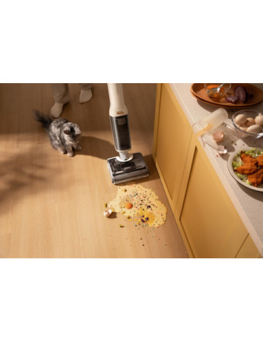 Roborock F25 RT Stick...