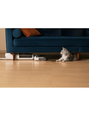 Roborock F25 RT Stick...