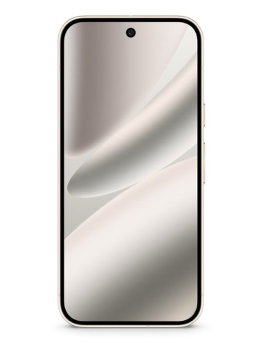 Google Pixel 10 Pro XL 17.3...