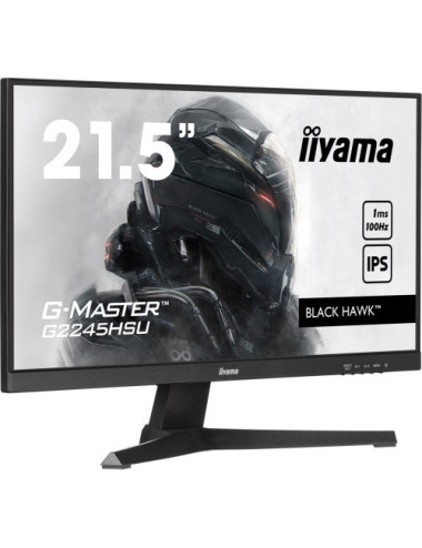 Iiyama Monitor 22...