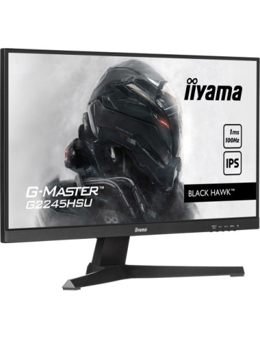 Iiyama Monitor 22...